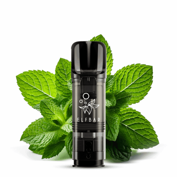 Elfbar Elfa Menthol; Bild des Pods und Menthol Blätter